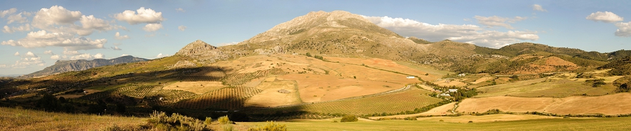 RuthJoy Photography_Sierra_de_la_Nieves