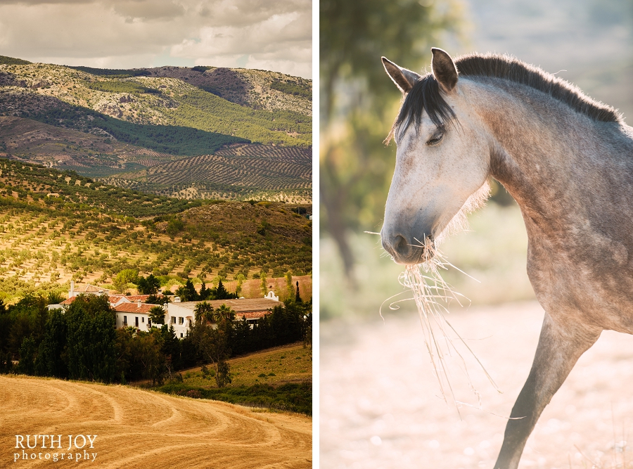 ruthjoyphotography_B&J_2014_004