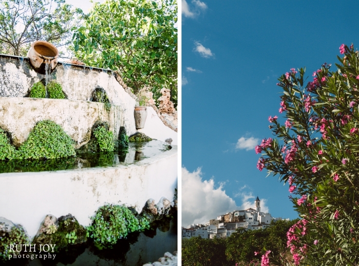 ruthjoyphotography_B_Hen_2014018