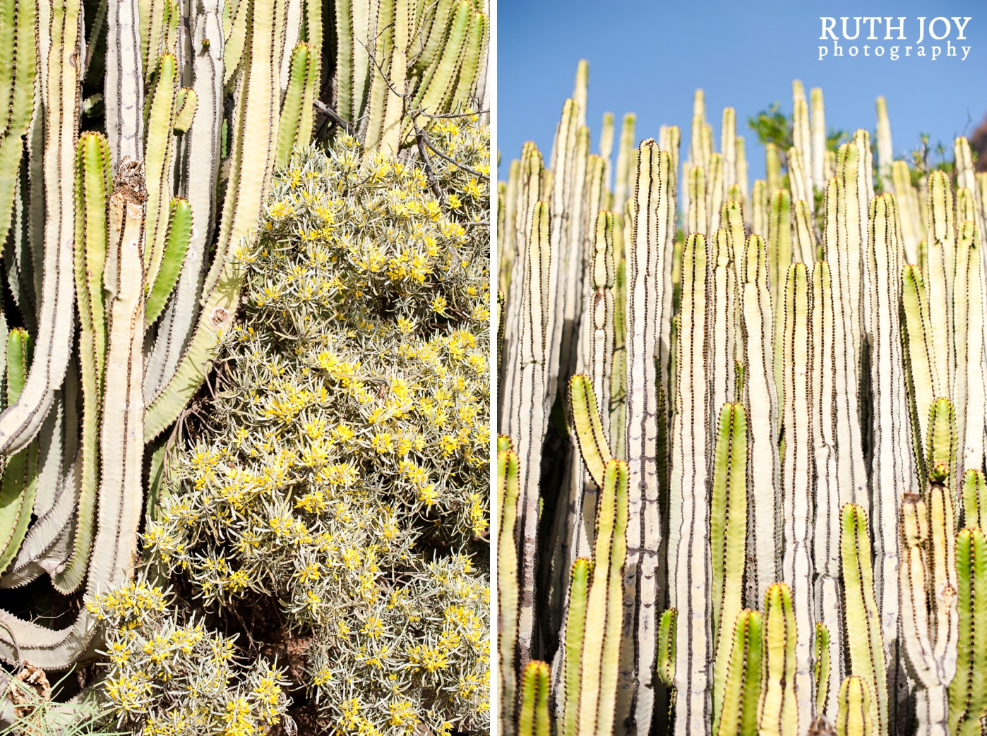 Gran Canaria Ruth Joy Photography _0055