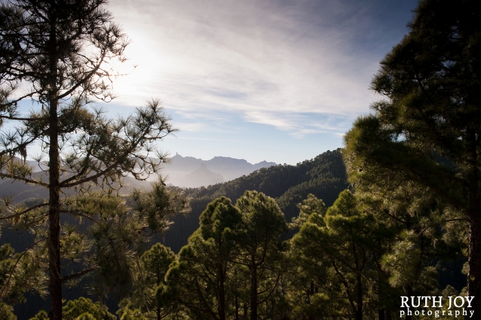 Gran Canaria Ruth Joy Photography _0129