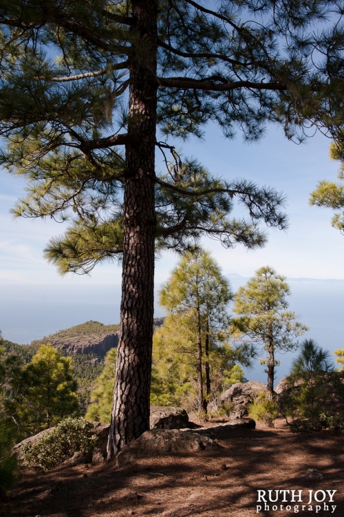 Gran Canaria Ruth Joy Photography _0149