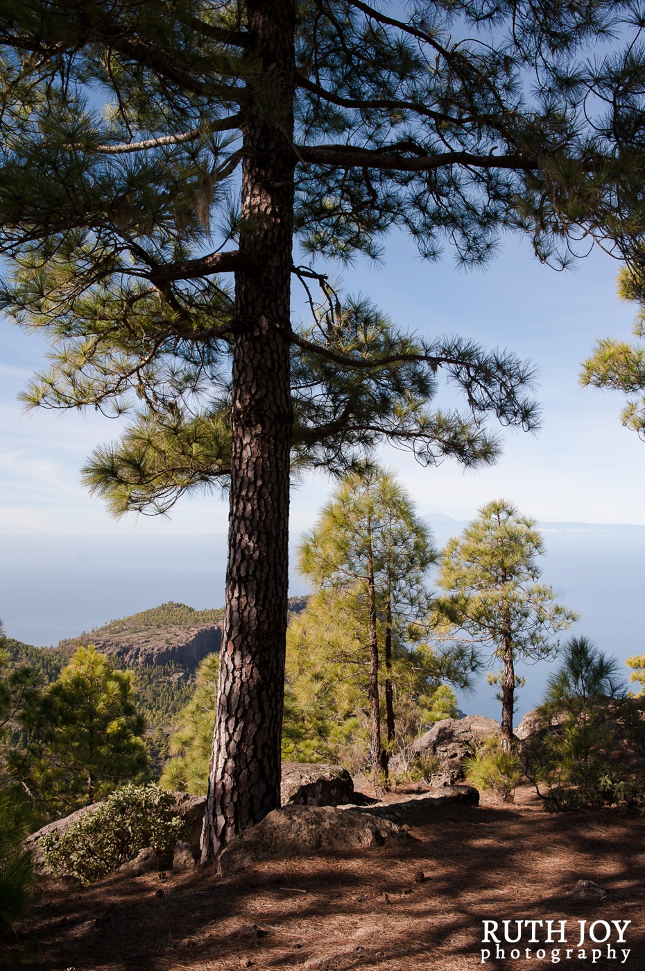 Gran Canaria Ruth Joy Photography _0149